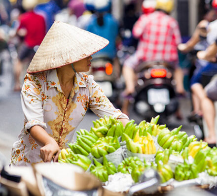 Hanoi / Ninh Binh