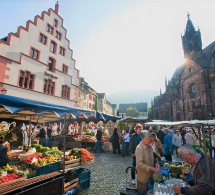 Heidelberg / Freiburg