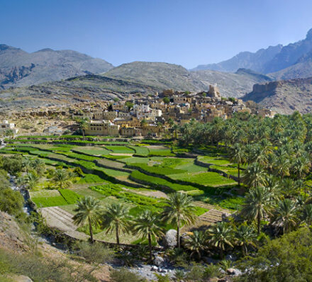 Jabal Akhdar / Nakhl / Departure from Muscat